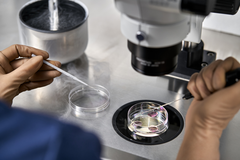In Vivo vs. In Vitro Definitions, Differences, and More In Vivo vs. In Vitro Definitions, Differences, and More